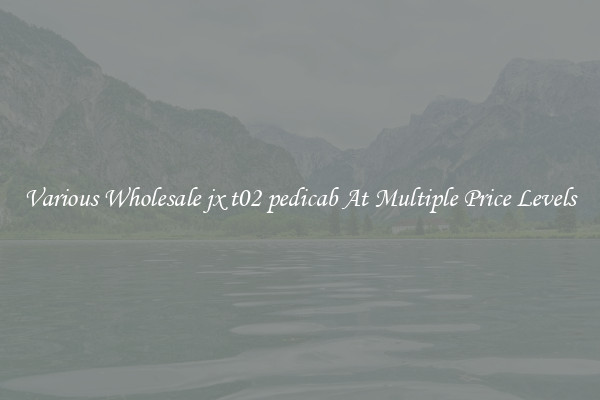 Various Wholesale jx t02 pedicab At Multiple Price Levels