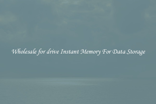 Wholesale for drive Instant Memory For Data Storage