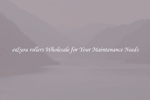 e&you rollers Wholesale for Your Maintenance Needs