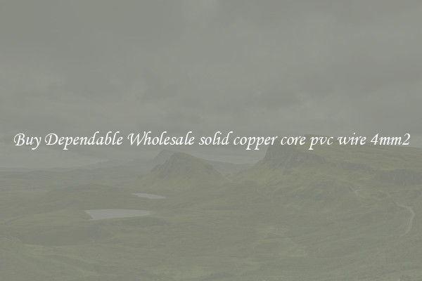 Buy Dependable Wholesale solid copper core pvc wire 4mm2