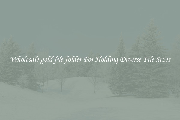 Wholesale gold file folder For Holding Diverse File Sizes