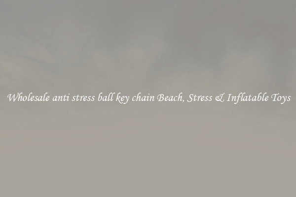 Wholesale anti stress ball key chain Beach, Stress & Inflatable Toys