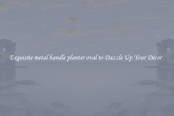 Exquisite metal handle planter oval to Dazzle Up Your Décor  