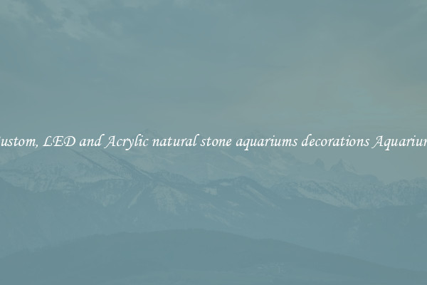 Custom, LED and Acrylic natural stone aquariums decorations Aquariums