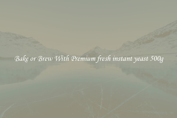 Bake or Brew With Premium fresh instant yeast 500g