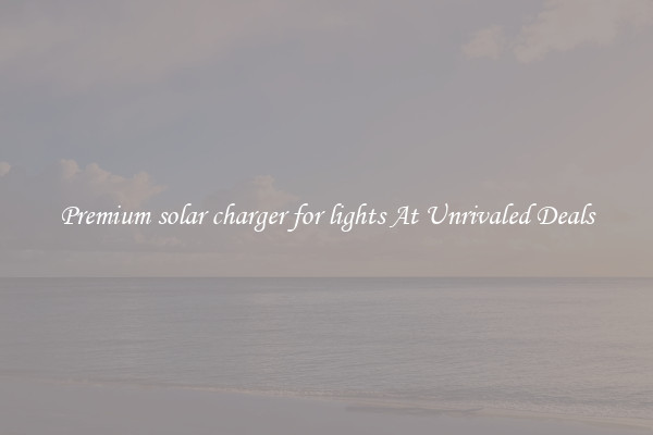 Premium solar charger for lights At Unrivaled Deals