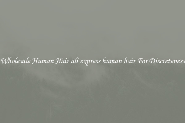 Wholesale Human Hair ali express human hair For Discreteness