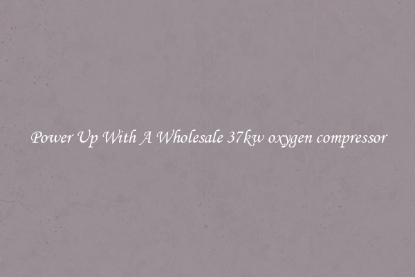 Power Up With A Wholesale 37kw oxygen compressor