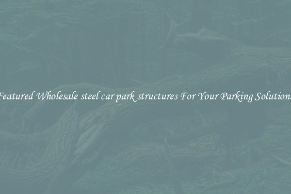Featured Wholesale steel car park structures For Your Parking Solutions 