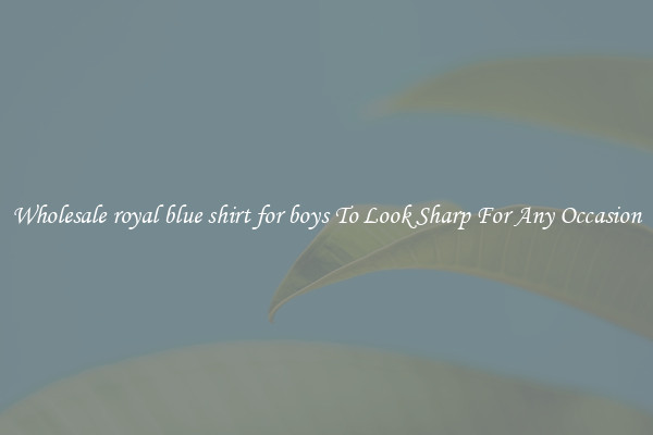 Wholesale royal blue shirt for boys To Look Sharp For Any Occasion