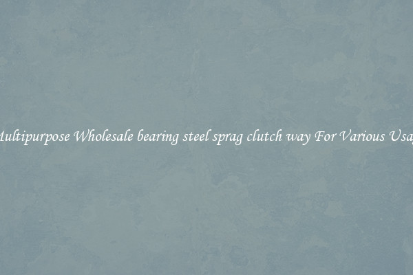 Multipurpose Wholesale bearing steel sprag clutch way For Various Usage