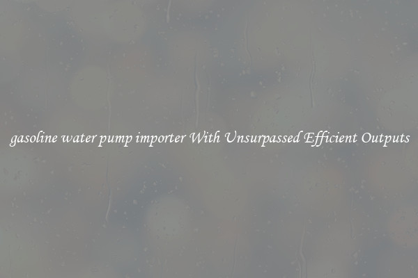 gasoline water pump importer With Unsurpassed Efficient Outputs