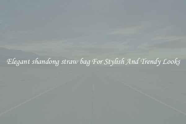 Elegant shandong straw bag For Stylish And Trendy Looks