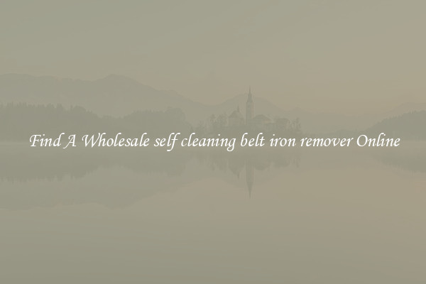 Find A Wholesale self cleaning belt iron remover Online