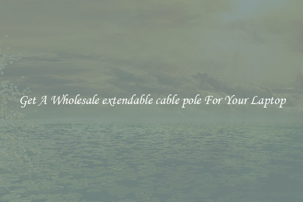 Get A Wholesale extendable cable pole For Your Laptop