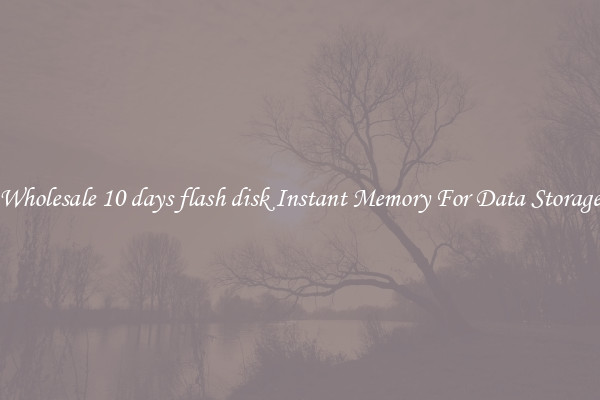 Wholesale 10 days flash disk Instant Memory For Data Storage