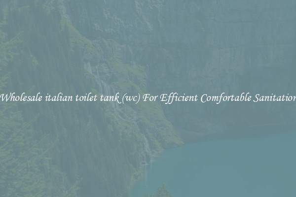 Wholesale italian toilet tank (wc) For Efficient Comfortable Sanitation